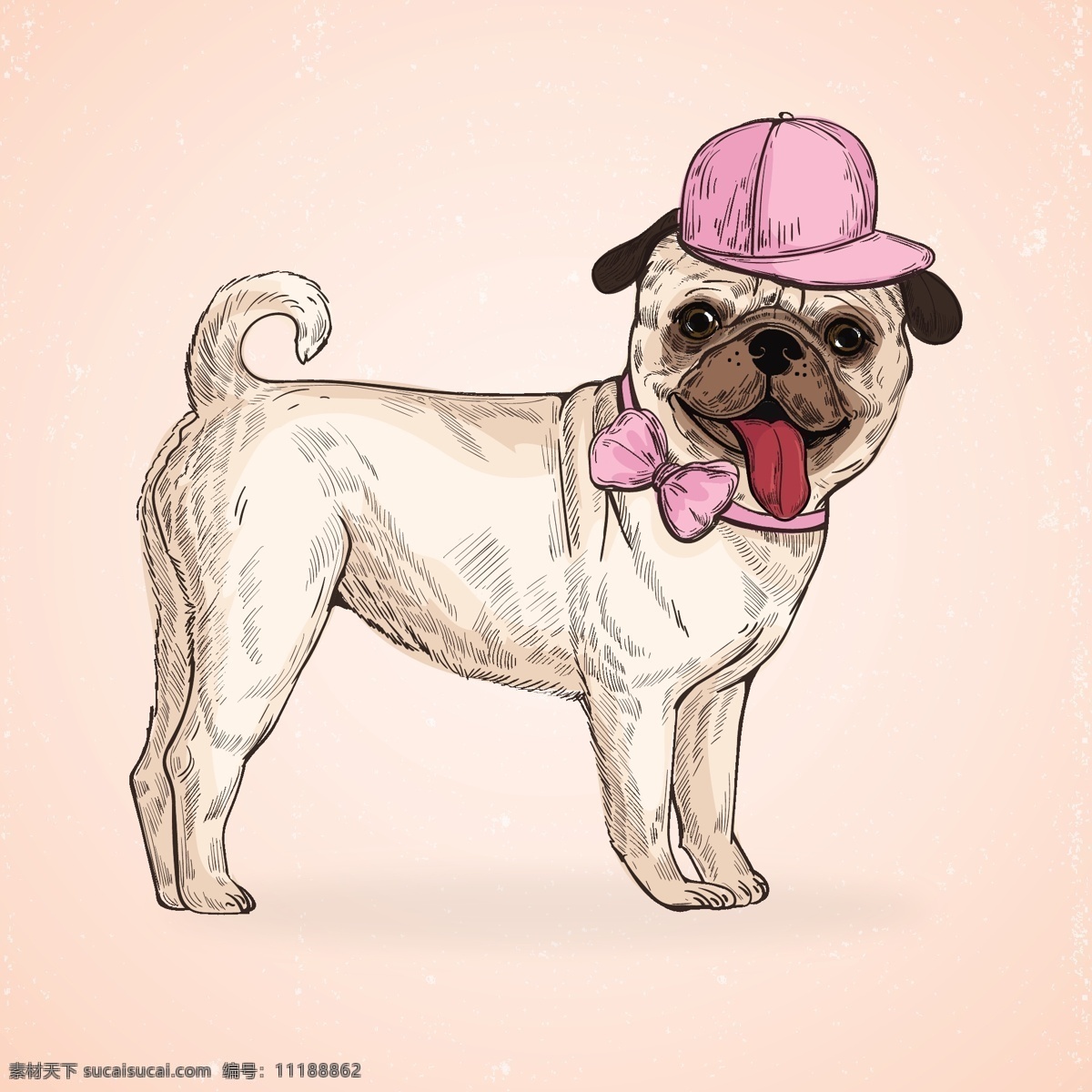 戴帽 动物 搞笑 狗 哈巴狗 卡通 卡通狗 可爱 可爱宠物 领结 犬 手绘 戴 帽