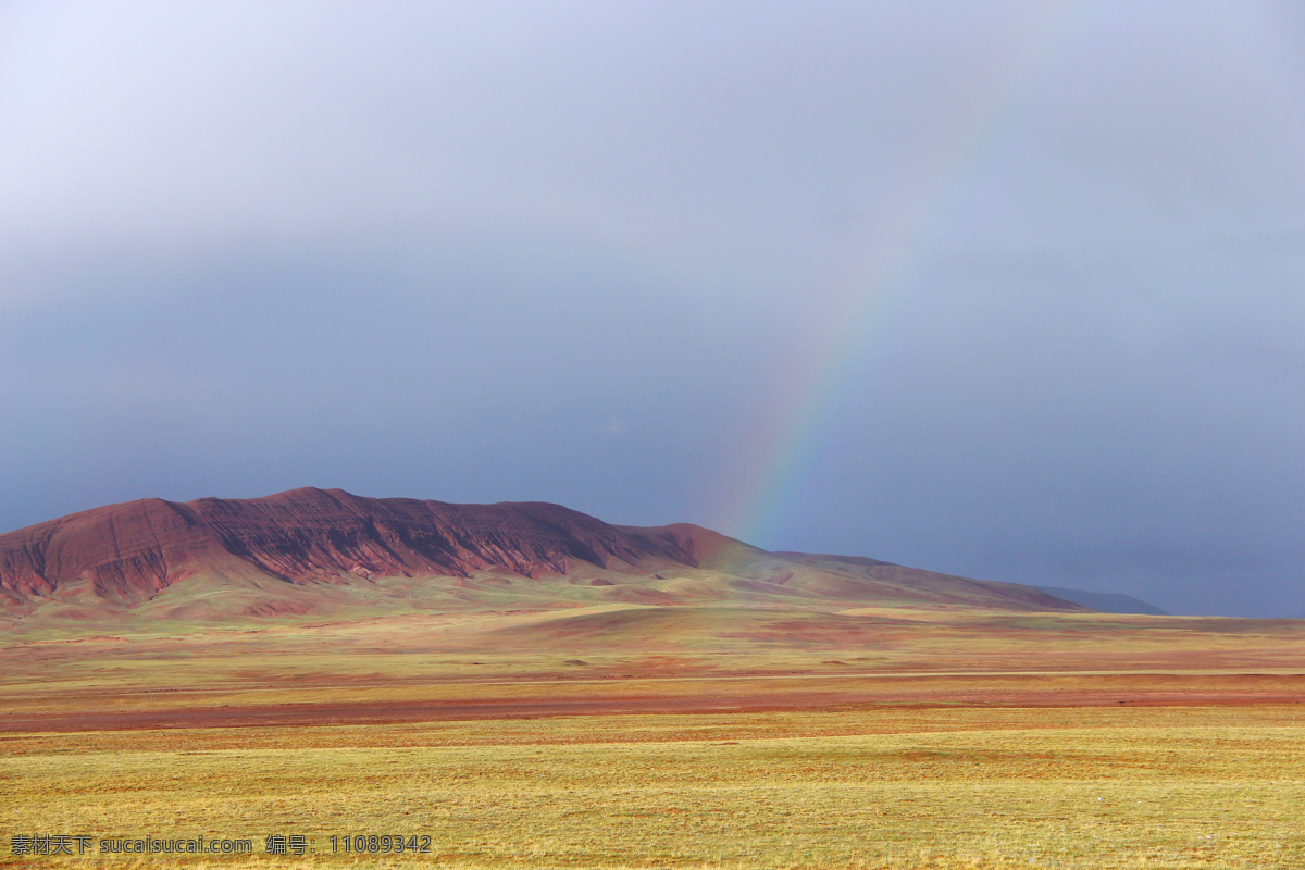 多彩可可西里 可可西里 藏羚羊 西藏 青藏 沙漠 西部沙漠 彩虹 草原 自然景观 自然风景