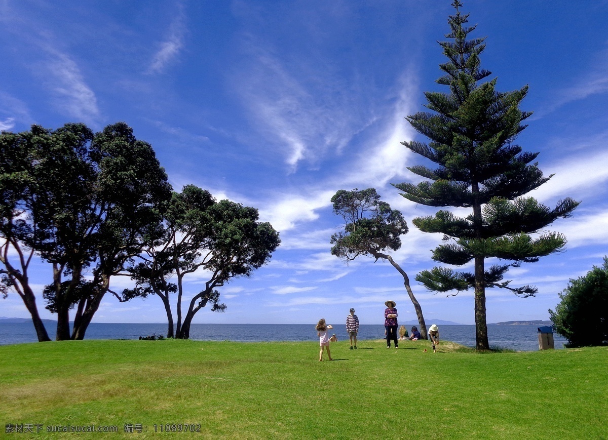 新西兰 海滨 公园 风景 蓝天 白云 大海 海水 海滩 绿树 绿地 草地 海滨公园 游人 休闲 风光 旅游摄影 国外旅游