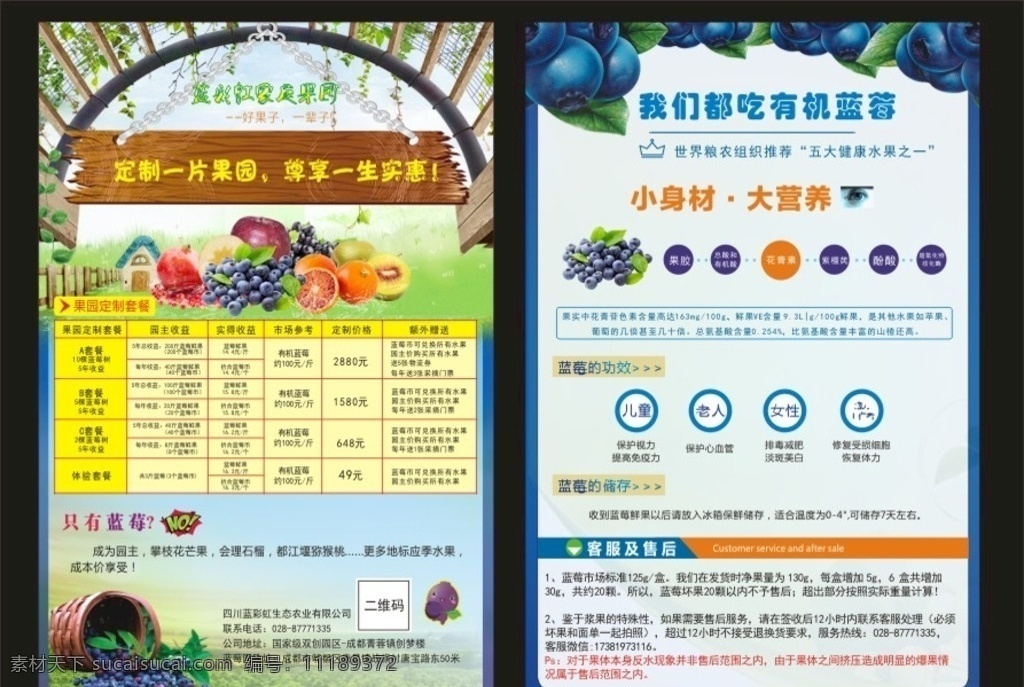 蓝莓dm单 蓝莓宣传单 蓝莓 蓝莓宣传 蓝莓传单 水果宣传单 水果dm单 水果传单 个人作品 dm宣传单