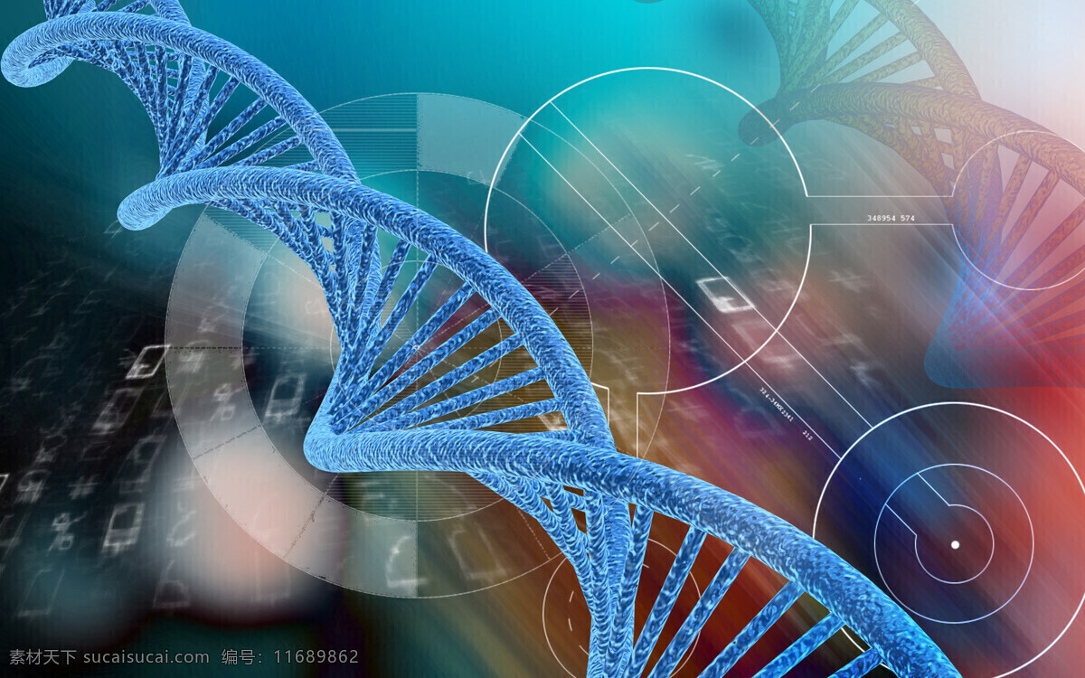遗传基因 人类dna 核酸 dna 螺旋 分子 脱氧核糖核酸 医学 科技背景 基因 基因图片 遗传链 微观科学 基因链 染色体 3d设计 科学研究 现代科技
