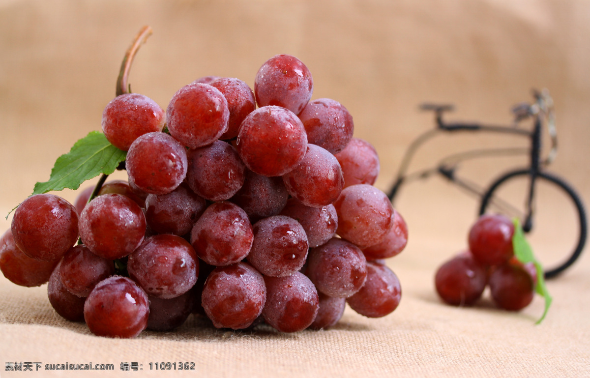 红提 进口水果 提子 红葡萄 进口葡萄 葡萄 水果图库 水果 生物世界