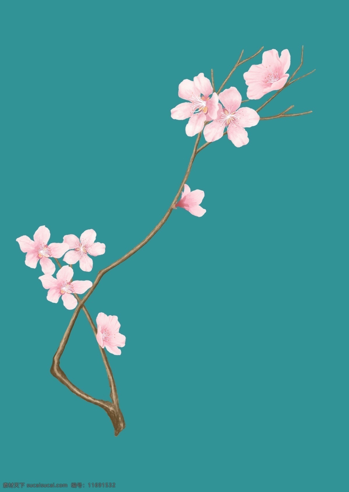 手绘桃花 红色 花 桃花 植物 春天 盛开 粉色 花枝 分层