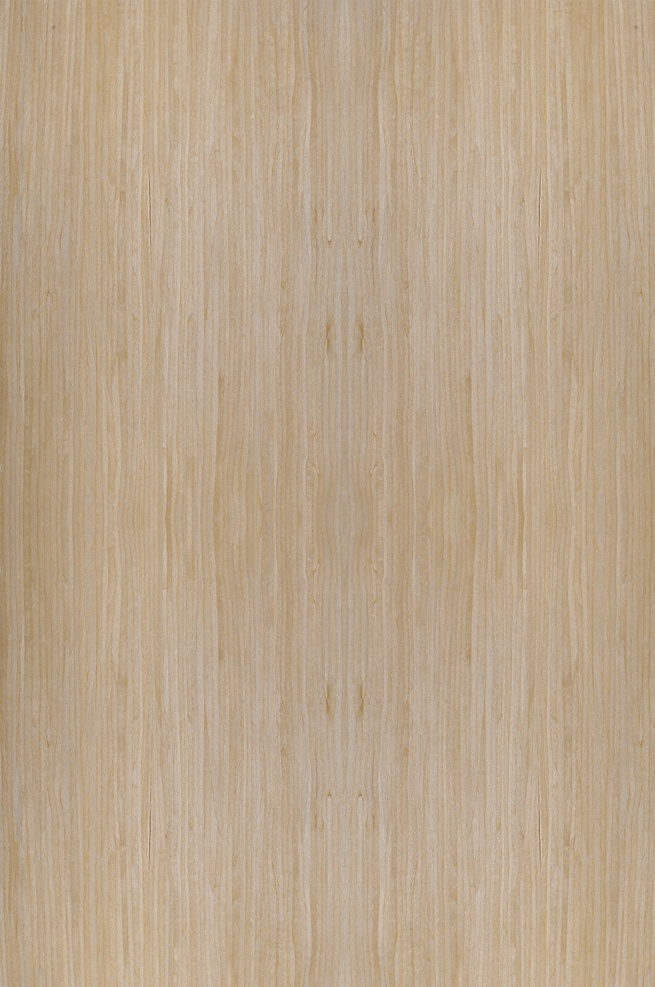 加拿大枫 木纹贴图 木皮 uv板 3d贴图 高清贴图 无缝拼图 3d设计 其他模型