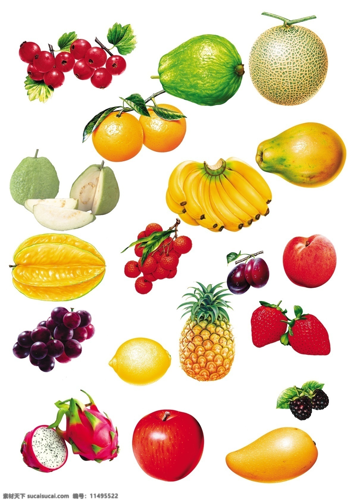 水果大全 各类水果图片 水果图 水果 菠萝 哈密瓜 香蕉 芭乐 苹果 芒果 杨桃 水蜜桃 火龙果 源文件 白色