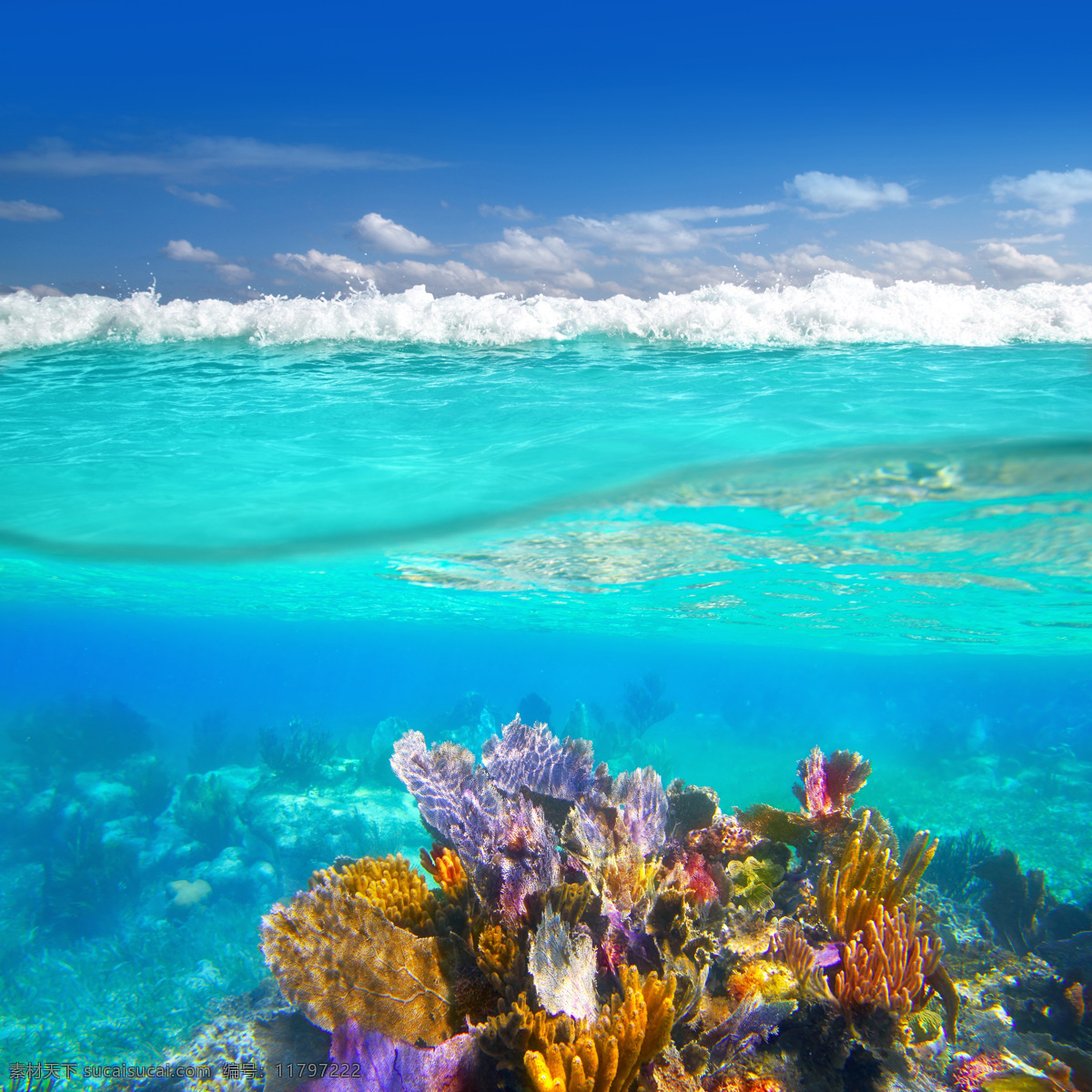 海底世界 海底 海底素材 大海 海水 海底世界图片 漂亮 世界 珊瑚 海洋 生物世界 海洋生物