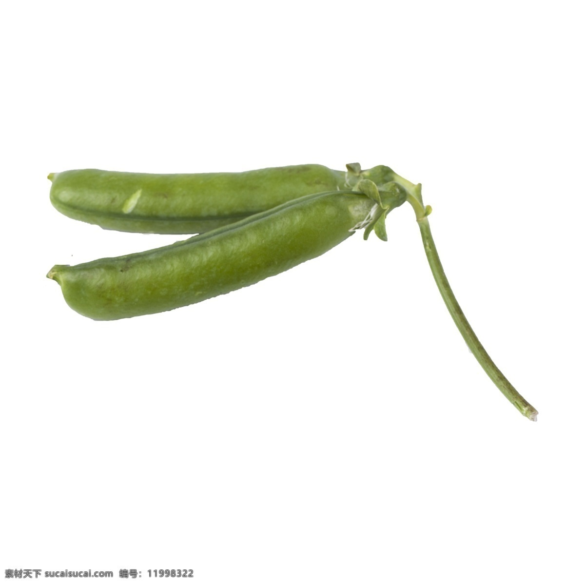 豌豆 免 抠 绿色蔬菜 豆类蔬菜 豌豆免抠 有营养的蔬菜 有营养的豌豆 蔬菜 需要剥的蔬菜