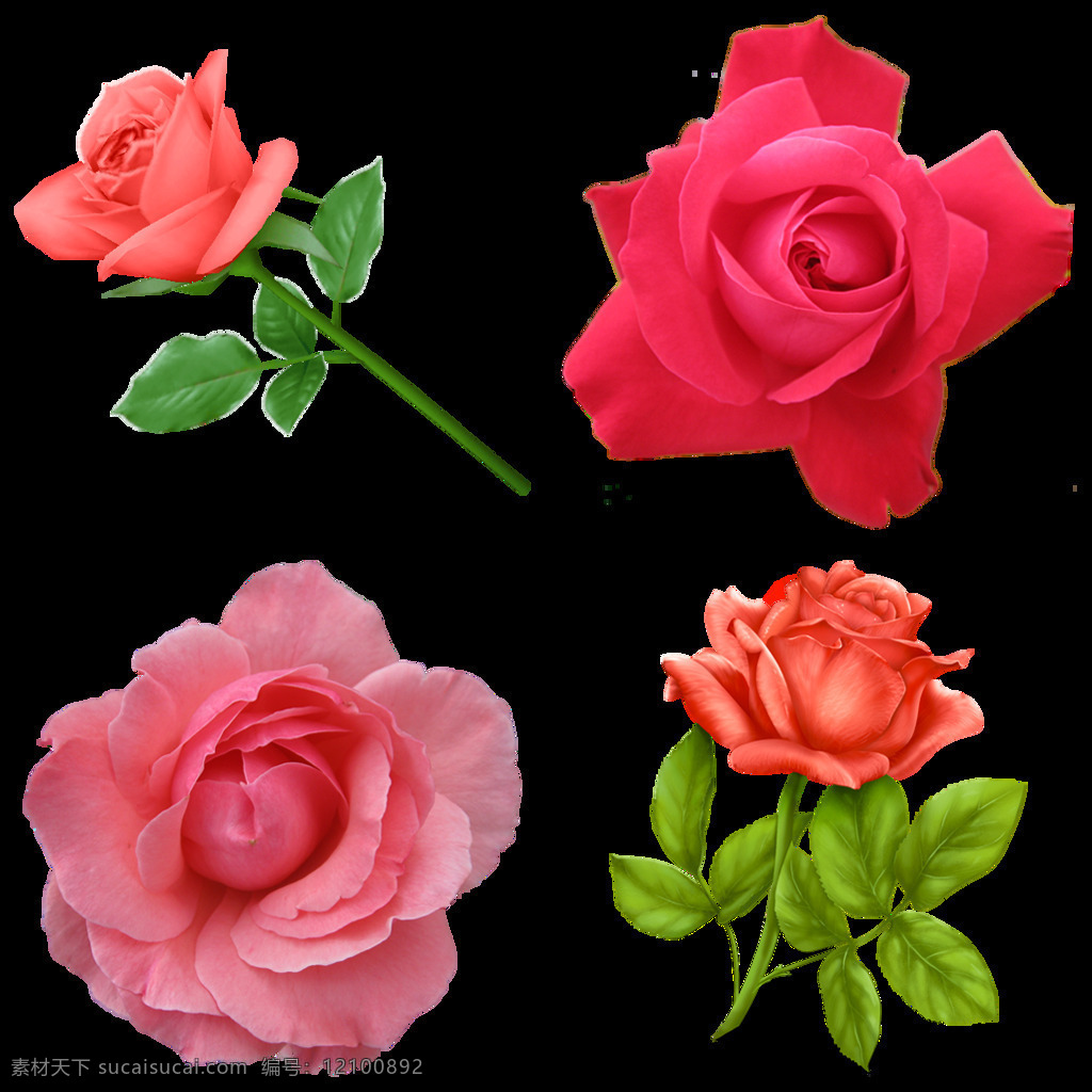 四 支 红玫瑰 免 抠 透明 图 层 朵 红玫瑰背景 血红玫瑰 9红玫瑰 玫瑰花语 红玫瑰素材 爱情素材 情人节素材 情人节元素 浪漫元素 爱情元素 红玫瑰图片