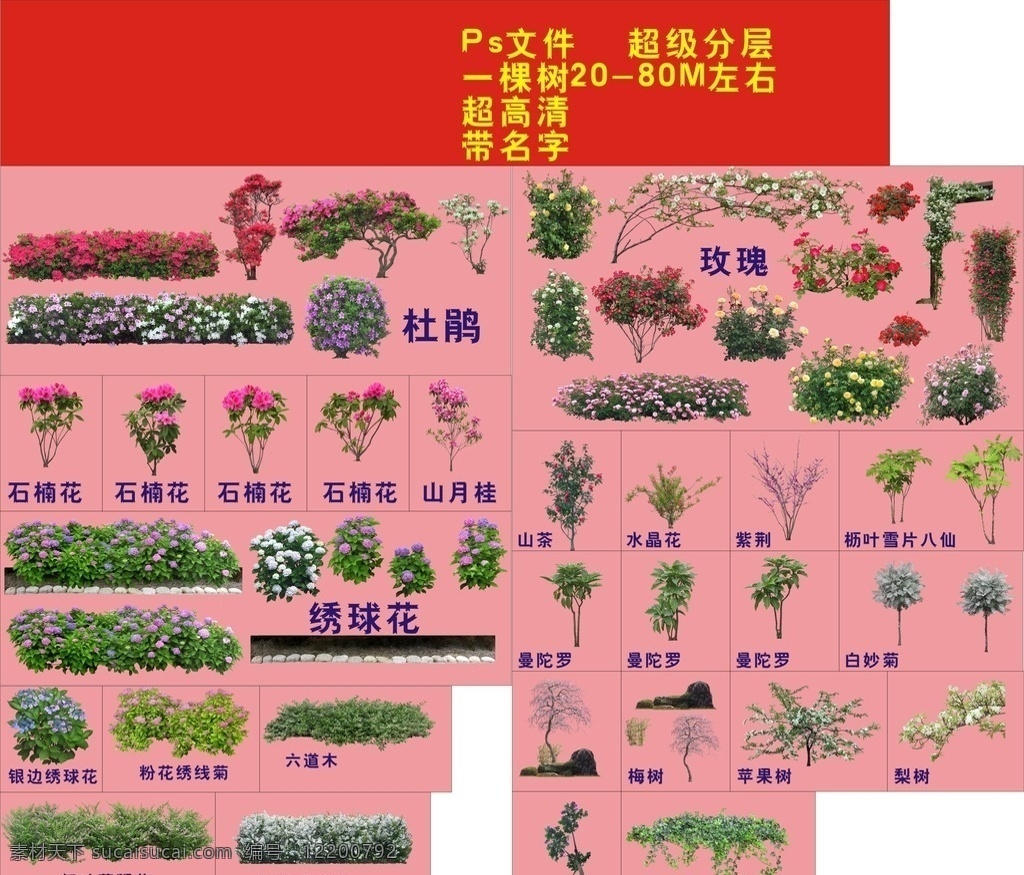 花草高清版 园林高清 景观高清 树木高清 花草高清 室外 园林景观高清 花草树木高清 盆景高清 阿存作品