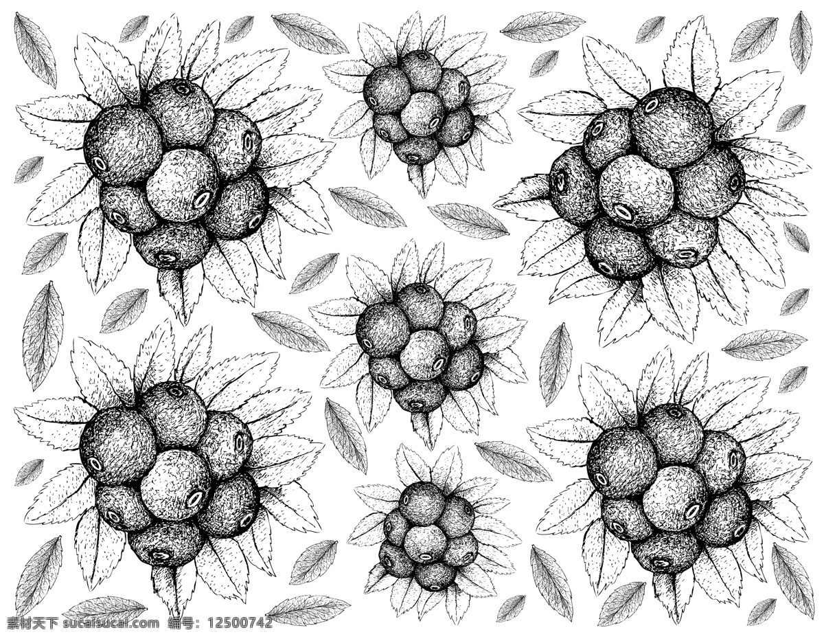 线描植物 叶子 金花 白描花朵 线描花卉 烫金花 印花 花纹背景 花卉背景 矢量花卉线条 矢量植物线条 插画 手绘插画 植物背景 金色花卉 烫金花纹 印花纹 手绘花朵 线描花朵 花卉 线条 矢量 手绘花卉 植物 植物花卉 矢量手绘 矢量线条 矢量花卉 花卉植物