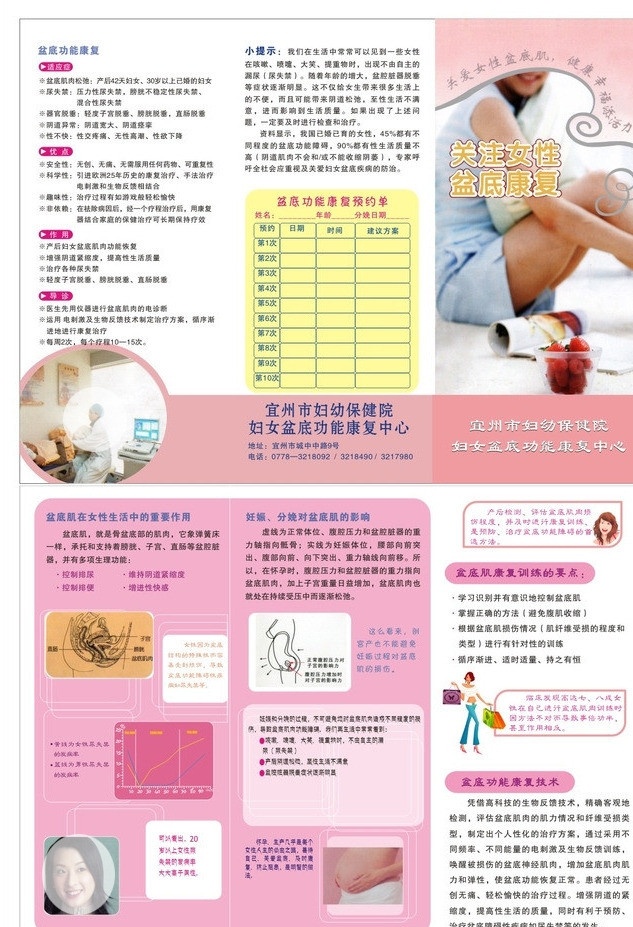 盆底健康 女性 盆底 健康 恢复 妇幼 画册设计 矢量
