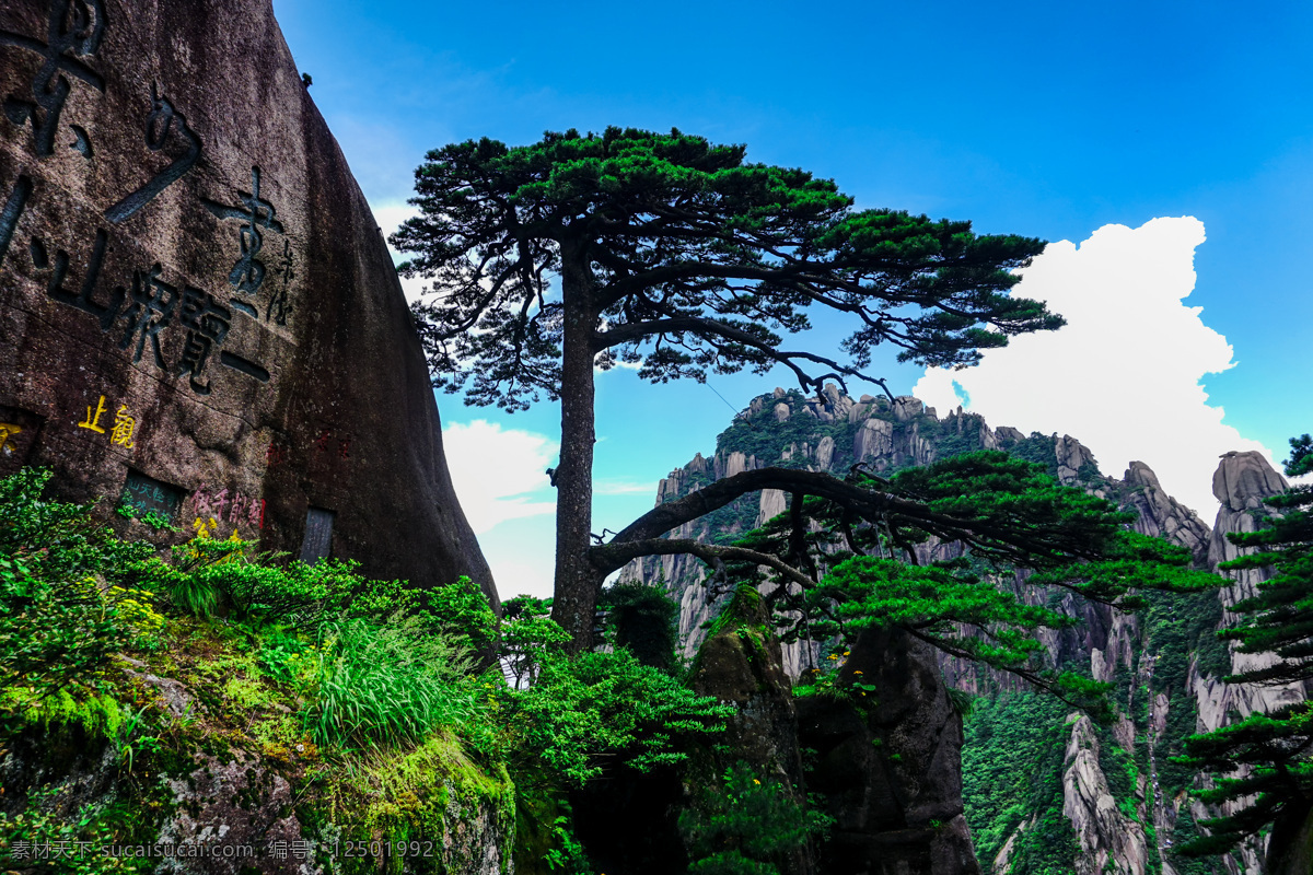 黄山图片 黄山 黄山景区 黄帝之山 山 山峰 山峦 远山 山脉 山水 河山 迎客松 祖国大好风光 旅游摄影 国内旅游