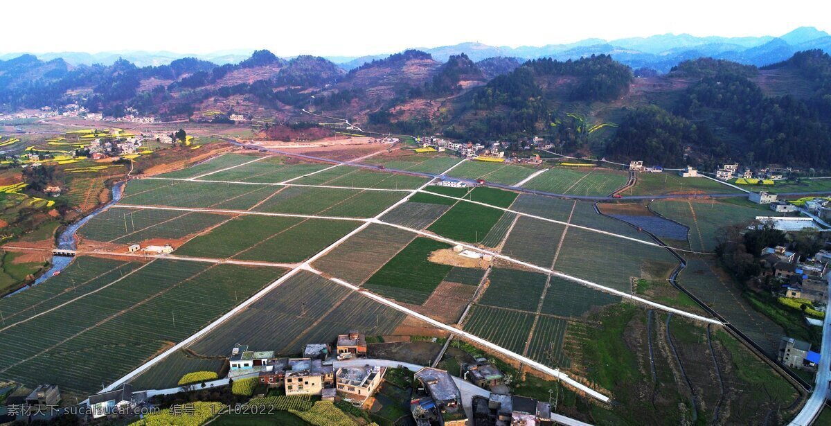 金沙县 禹谟 镇 香葱 基地 照片 香葱基地 航拍图 禹谟镇 田园风光 自然景观