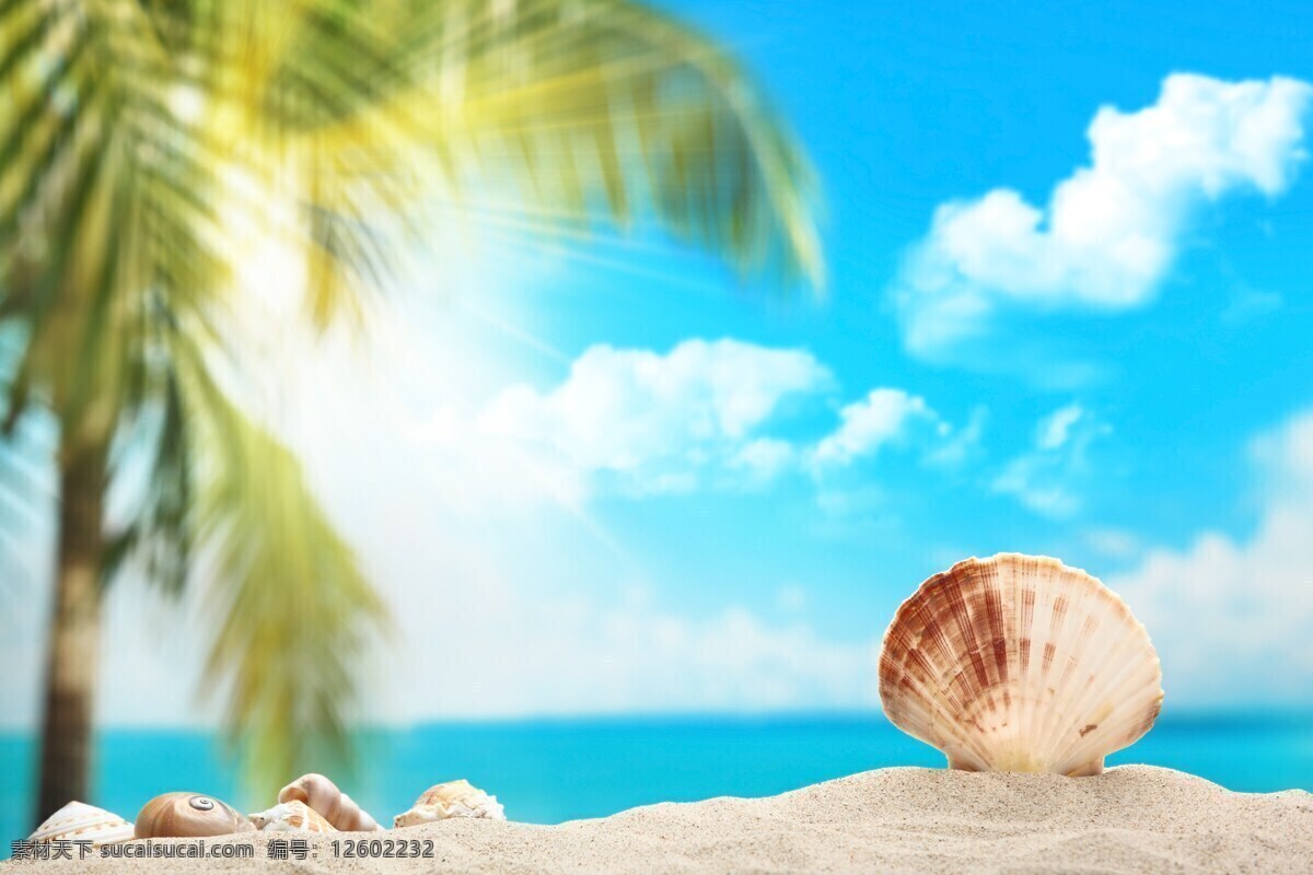 海滩 蓝天 白云 热带 椰子树 马尔代夫 夏日 盛夏 炎热 沙滩 大海 海边 海水浴场 海洋 贝壳 度假 旅游 夏天来了 自然景观 自然风景