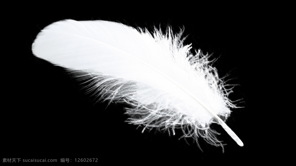 轻盈羽毛 轻盈 白色 羽毛 飘落 细致 美丽 分层
