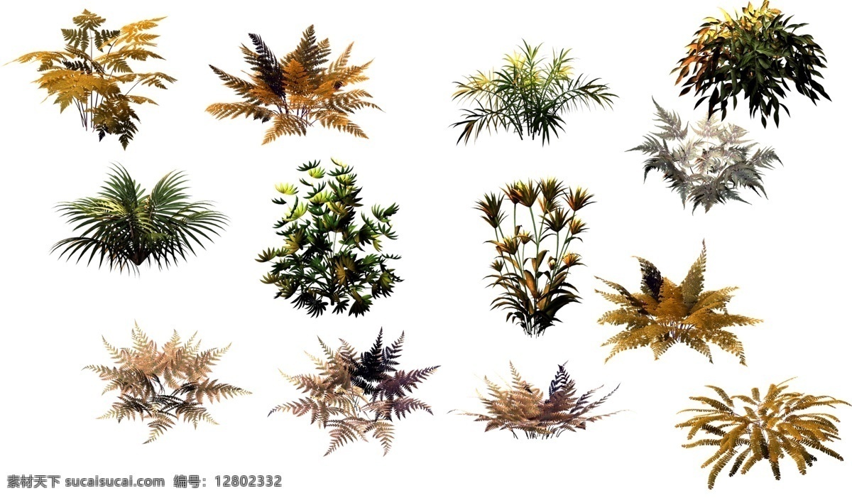 侏罗纪 蕨类植物 植物素材 植物造景 分层 源文件