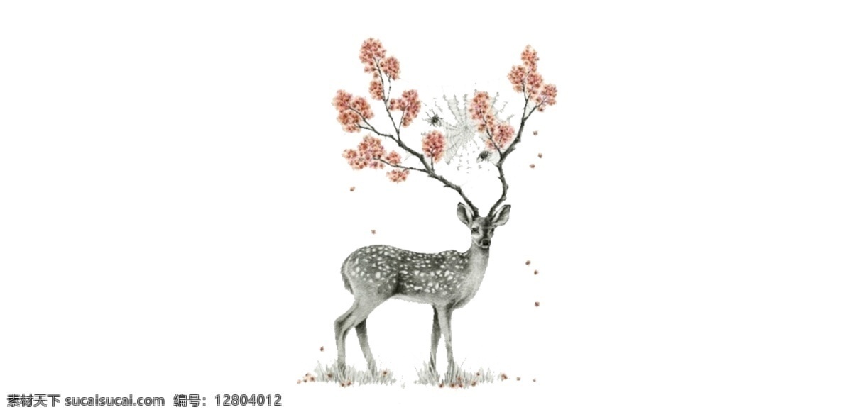 水彩 手绘 梅花鹿 鹿 动物 白色