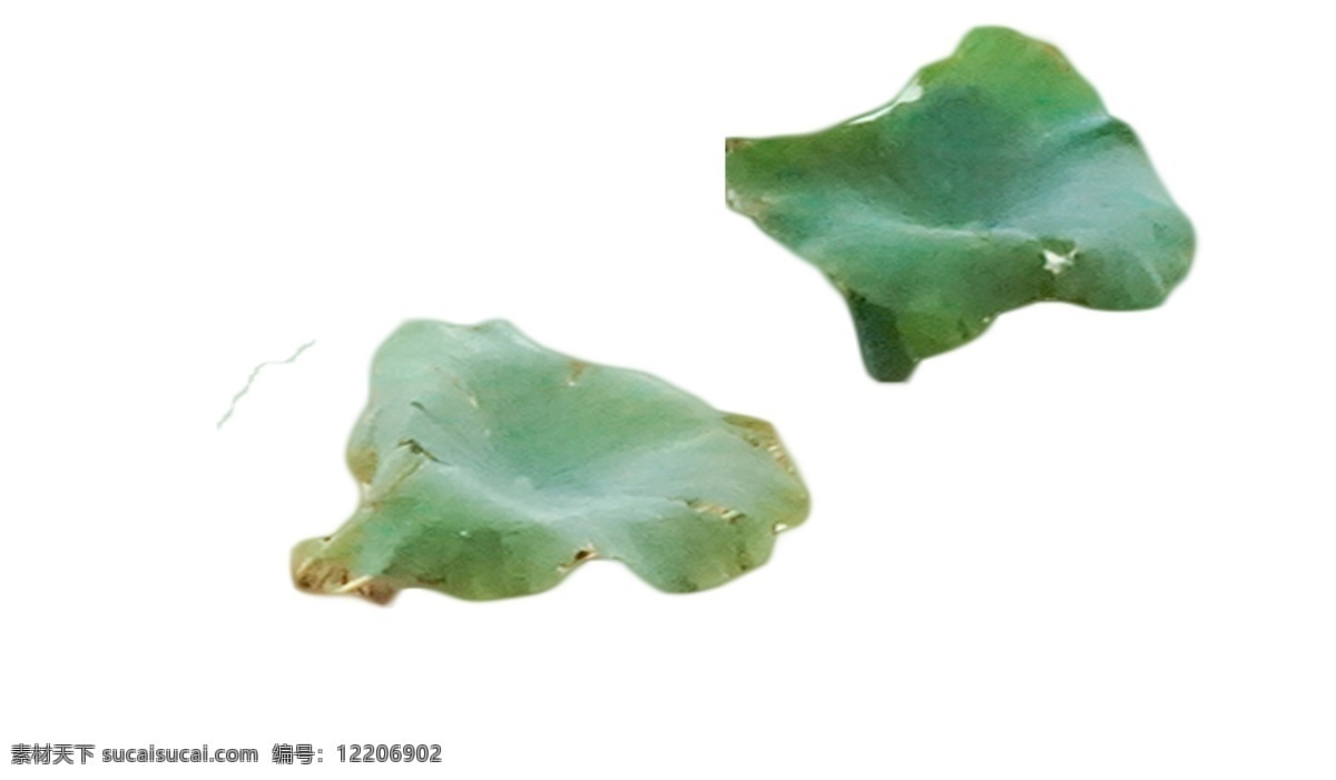 美丽 荷叶 草本植物 碧叶亭亭 翠绿 像大伞 像帽子 像蒲扇 千姿百态 风姿妩媚 含笑迎风 争艳