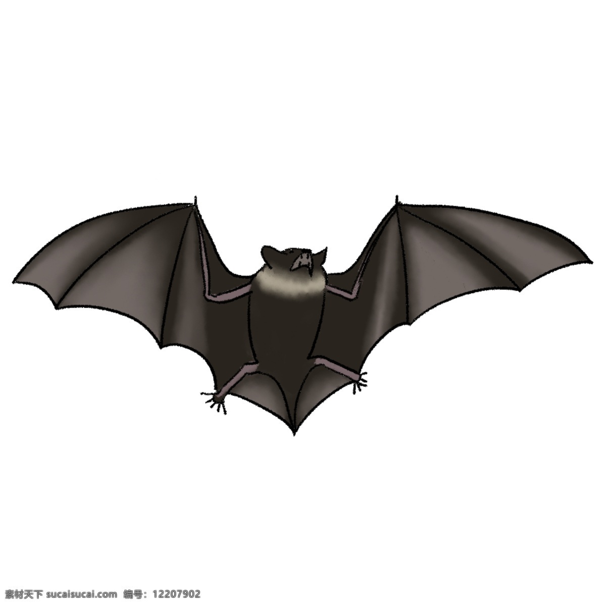 生物 蝙蝠插画 蝙蝠手绘 动物 简笔画 幼儿识动物 蝙蝠简笔画 小动物 黑蝙蝠 小动物头饰 野生动物 生物世界