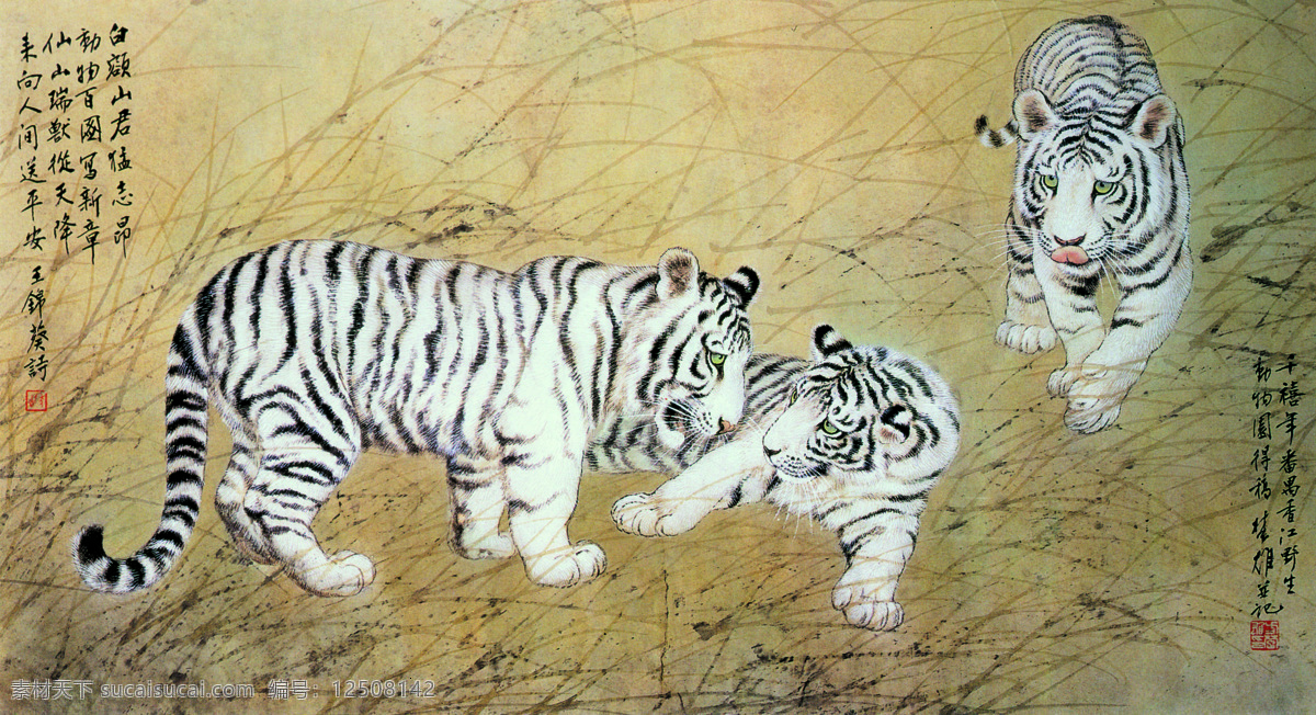 白虎 呈祥 草地 风景 绘画书法 老虎 诗 十二生肖 书法 文化艺术 印章 白虎呈祥 动物画集 生物世界