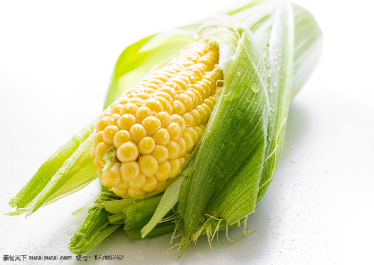 苞米 特写 粮食 作物 农作物 玉米叶 成熟 丰收 玉米粒