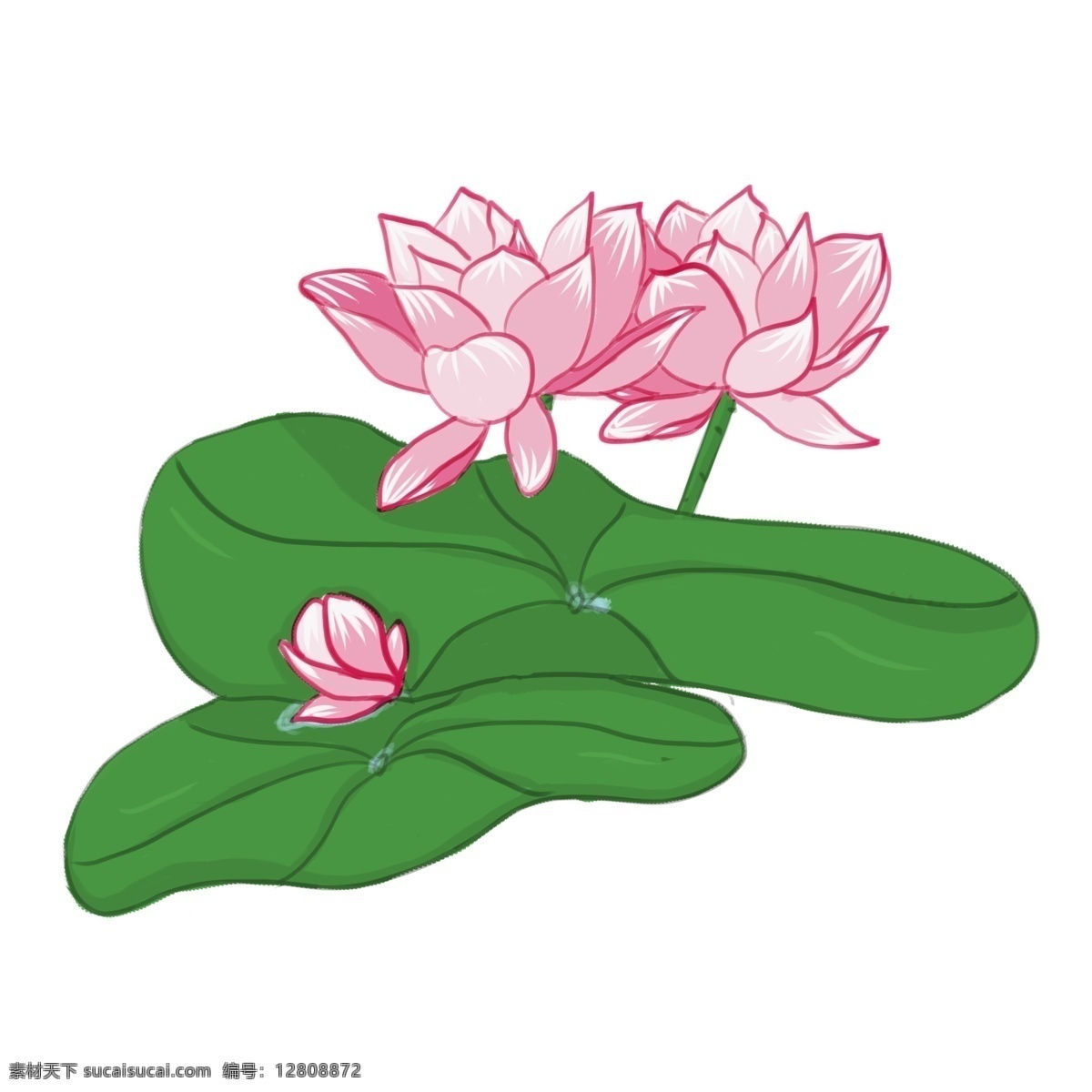手绘 中国 风 荷花 彩色 谷雨 清明 卡通 荷叶 免抠 无背景 透明底 插画 原创 装饰 平面设计 中国风 装饰设计 水墨画