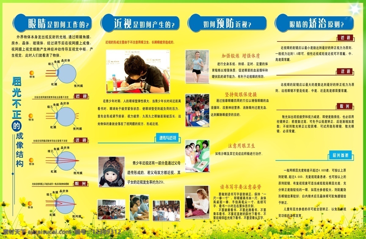 眼镜店展板 眼球分布图 菊花 绿草 各类 保护 眼镜 白色曲线 阳光 背景素材 分层 源文件