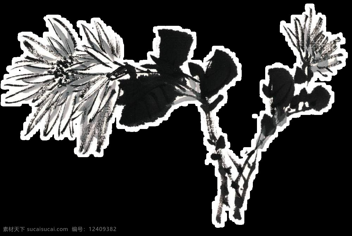 中国 风 黑色 手绘 菊花 装饰 元素 黑色花枝 植物 装饰元素