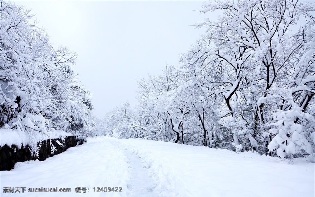 雪路 雪景 山路 路 树 雪树 大雪 自然景观 山水风景