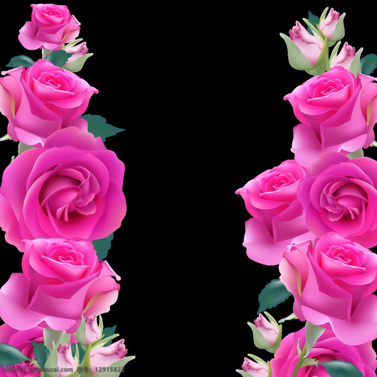 粉色 玫瑰花 装饰 元素