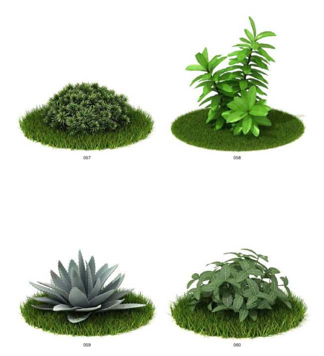绿色植物 模型 花草 绿色 植物 3d模型素材 动植物模型
