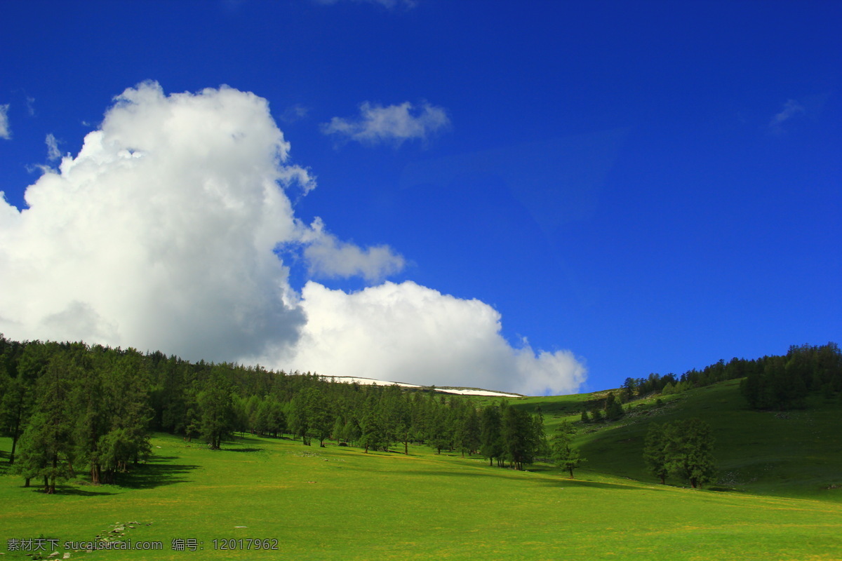 喀纳斯 浓云 蓝天白云 蔚蓝 森林 树林 权木 绿色 草原 牧草 金色 金黄色 草地 色彩斑斓 云朵 云霞 新疆喀纳斯 山水风景 自然景观