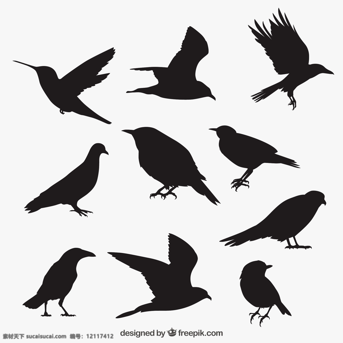 手绘黑色的鸟 自然 动物 翅膀 羽毛 丛林 黑色 动物园 鸽子 乌鸦 剪影 野生 野生动物 采集 麻雀 大纲