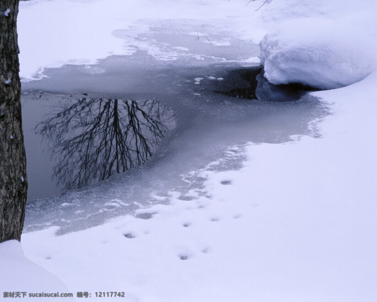 白 大雪 覆盖 石头 白雪皑皑 雪景 雪松 白雪风光 森林大雪 风景 生活 旅游餐饮