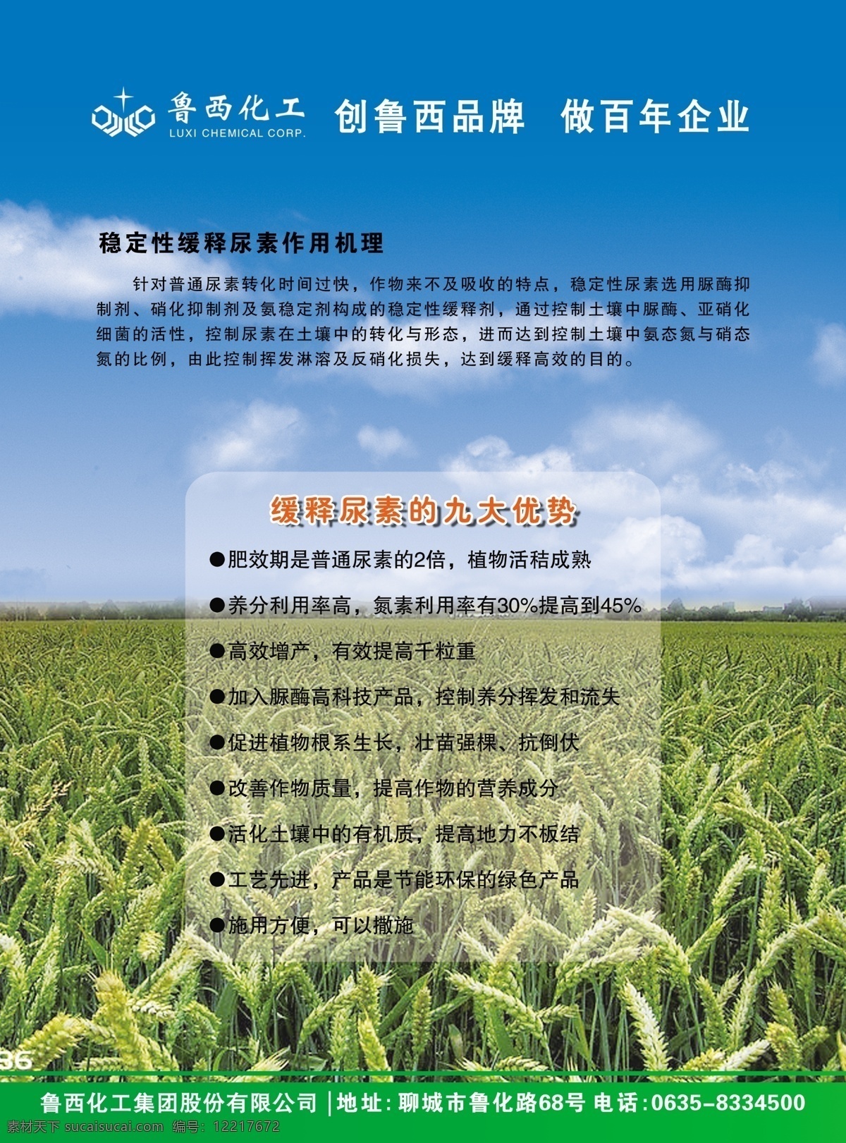 l鲁西化工 肥料 中颗粒 稻田 蓝天 dm宣传单 广告设计模板 源文件