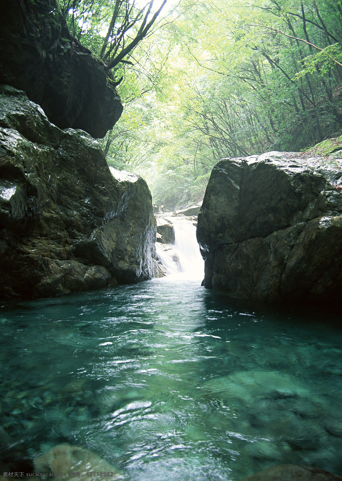 美丽 林间 小溪 美丽风景 自然风景 风景摄影 大自然 美景 景色 山水风景 树林 溪水 风景图片