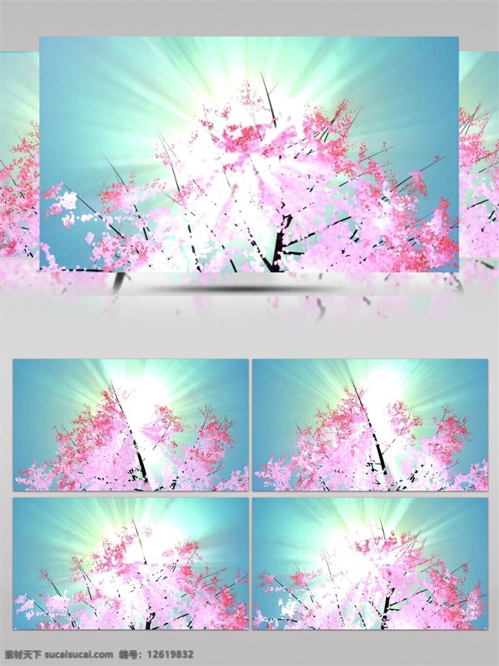 粉色 花朵 小 清新 高清 视频 小清新 唯美浪漫 视频素材 动态视频素材