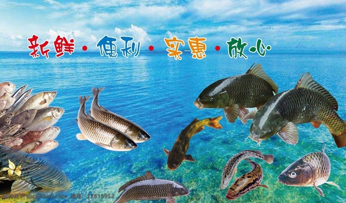 鲤鱼 花鱼 鲤子 海背景 分层