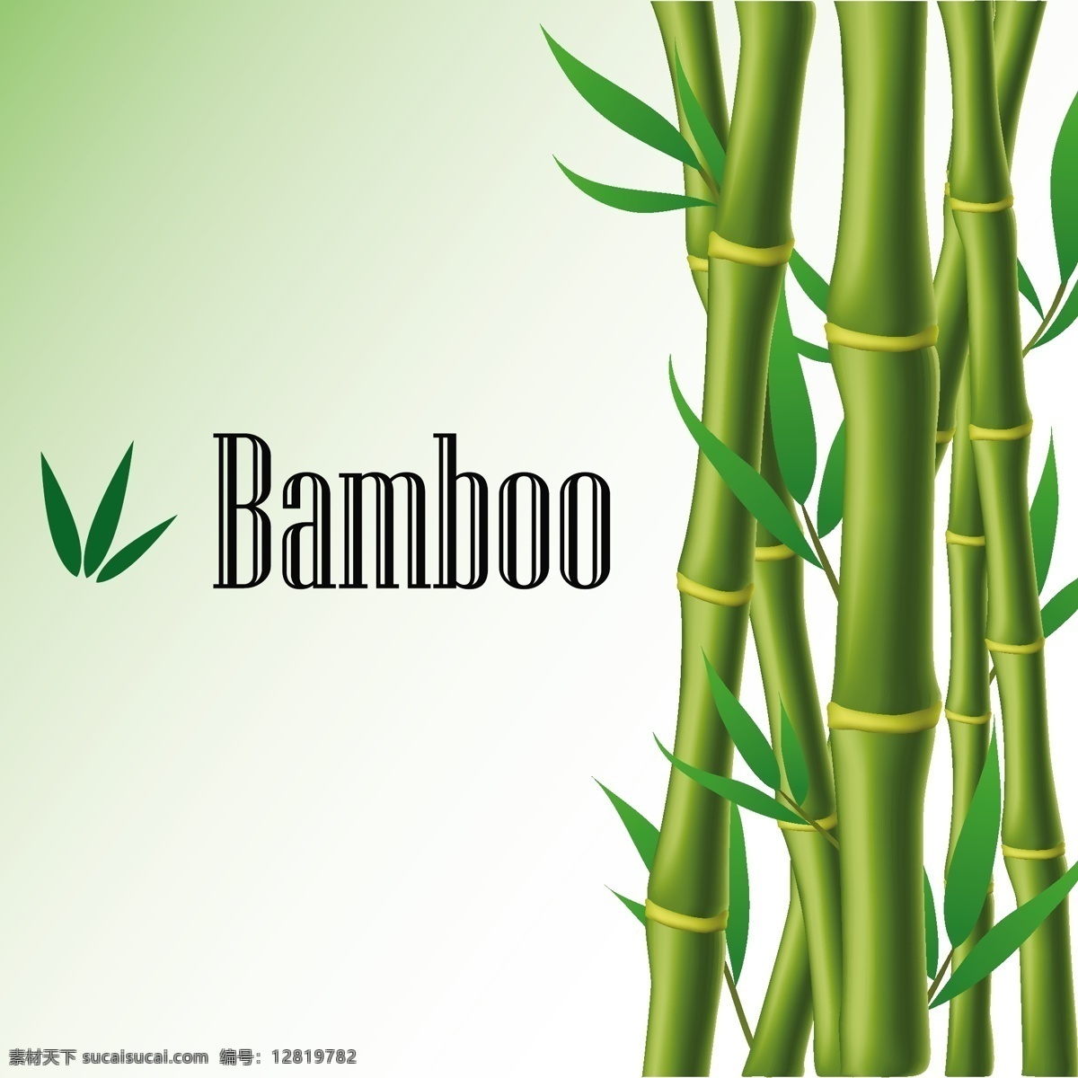 精美 竹子 背景 矢量 绿色 节节高 矢量图 其他矢量图