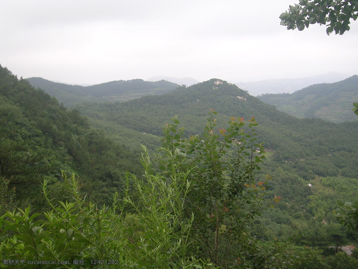 巍巍青山 青山 绿叶 树 天空 白色