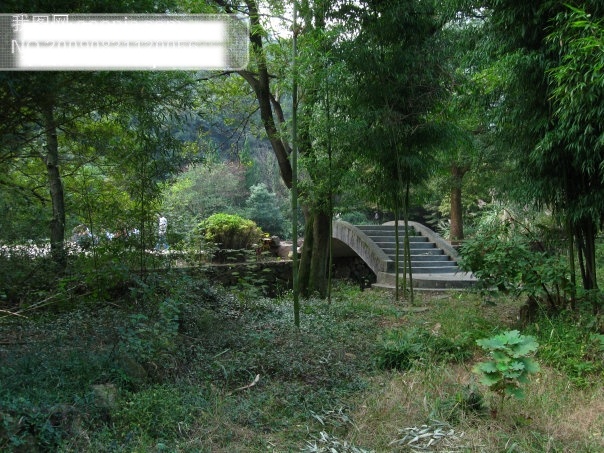 树免费下载 草 杭州 旅游摄影 桥 群山 摄影图 树 富阳 黄公望风景 杭州旅游 风景图片 风景 生活 旅游餐饮