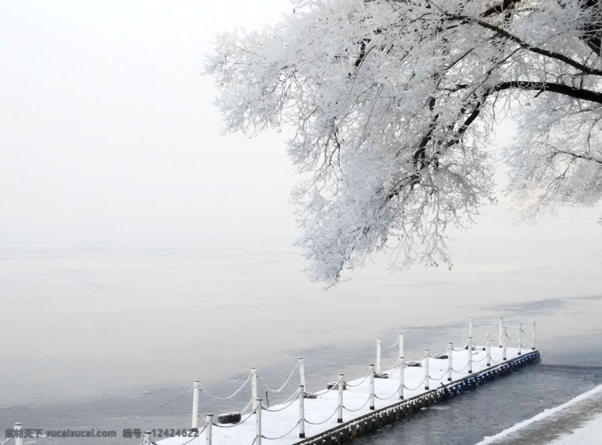 哈尔滨 松花江畔 雾凇 美景 天空 薄雾 栈桥 薄冰 雪地 树木 树挂 自然景观 自然风景