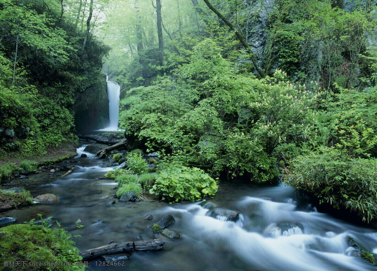 山中 小溪 景色 高山 瀑布 湍急 溪流 河山 风景 壮丽 山川 风光美图 美丽风景 自然风光 风景摄影 高清图片 山水风景 风景图片