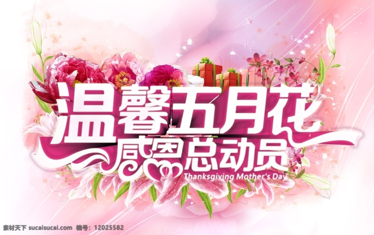 感恩节 中文字 礼物 鲜花 花朵 星光效果 粉红色背景 白色