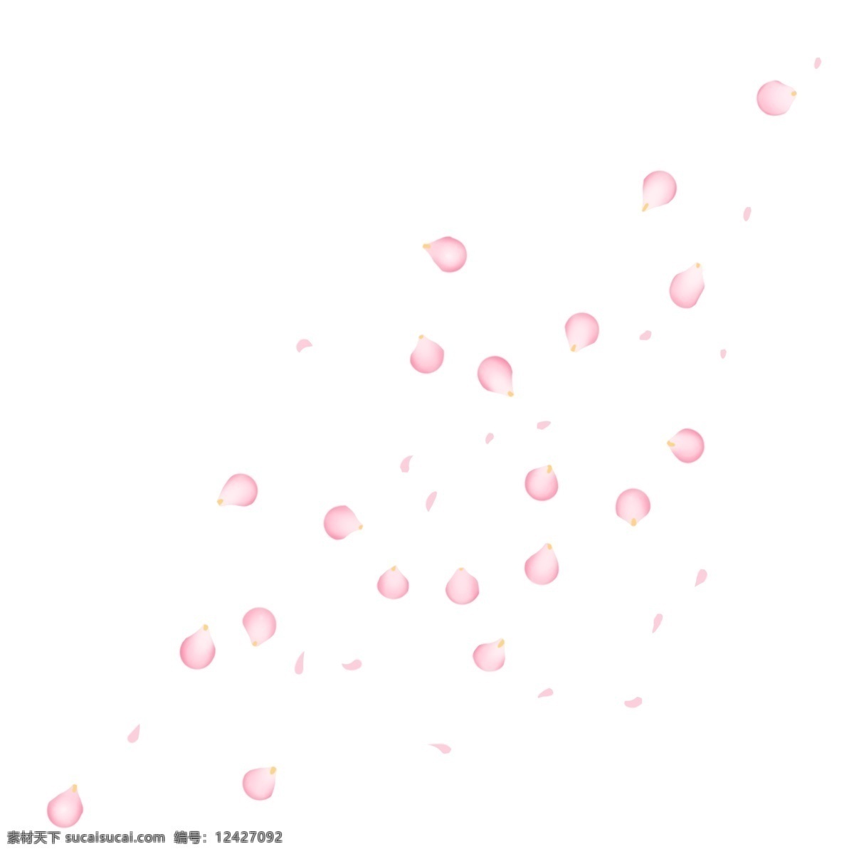 漂浮 梅花 花瓣 粉红色 漂浮花瓣