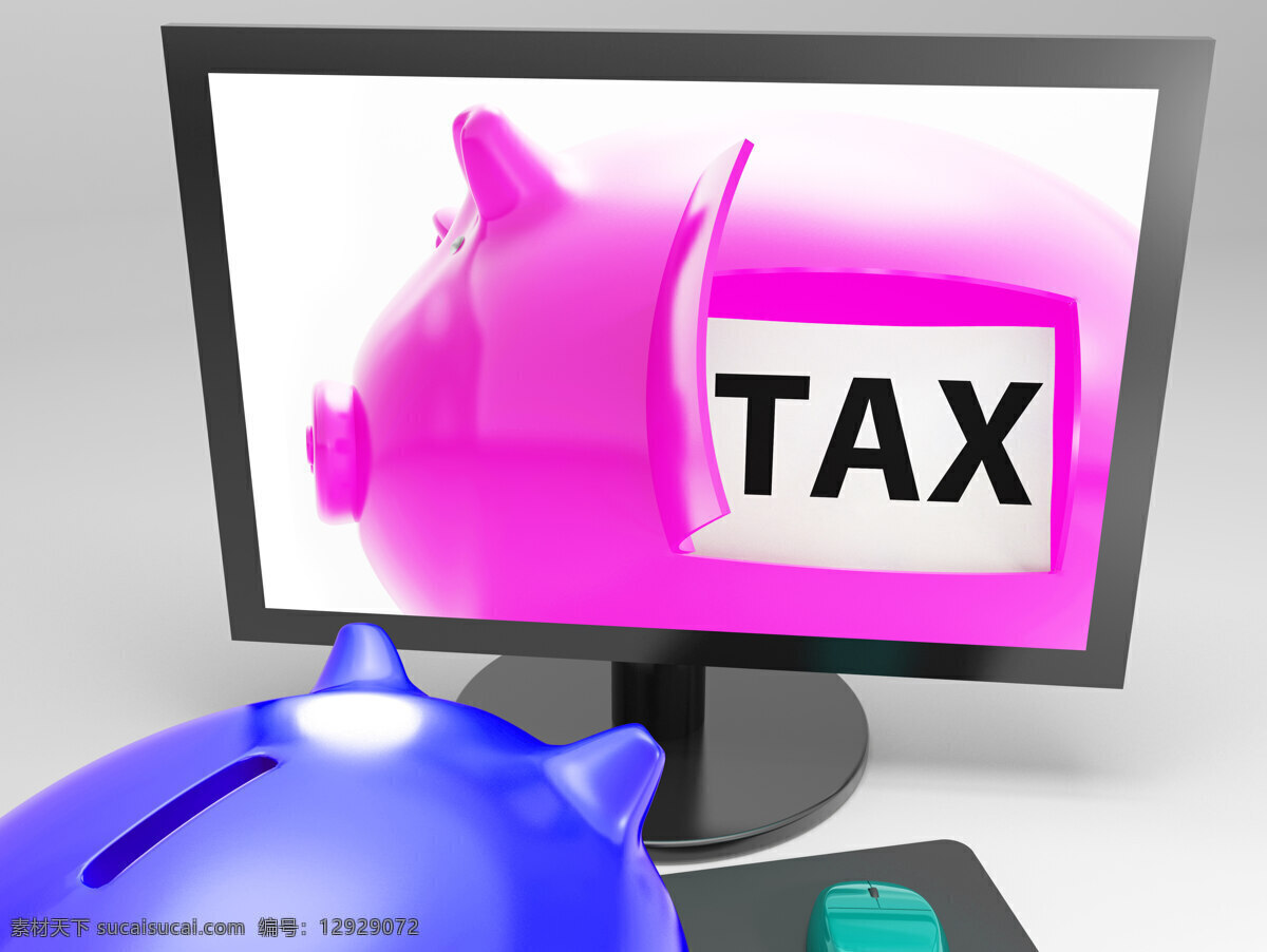 税 税收 缴款 小 猪 显示 白色