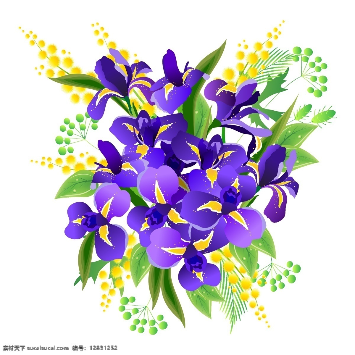 矢量图 服装图案 蝴蝶兰 花朵 写意花卉 植物 面料图库 服装设计 图案花型