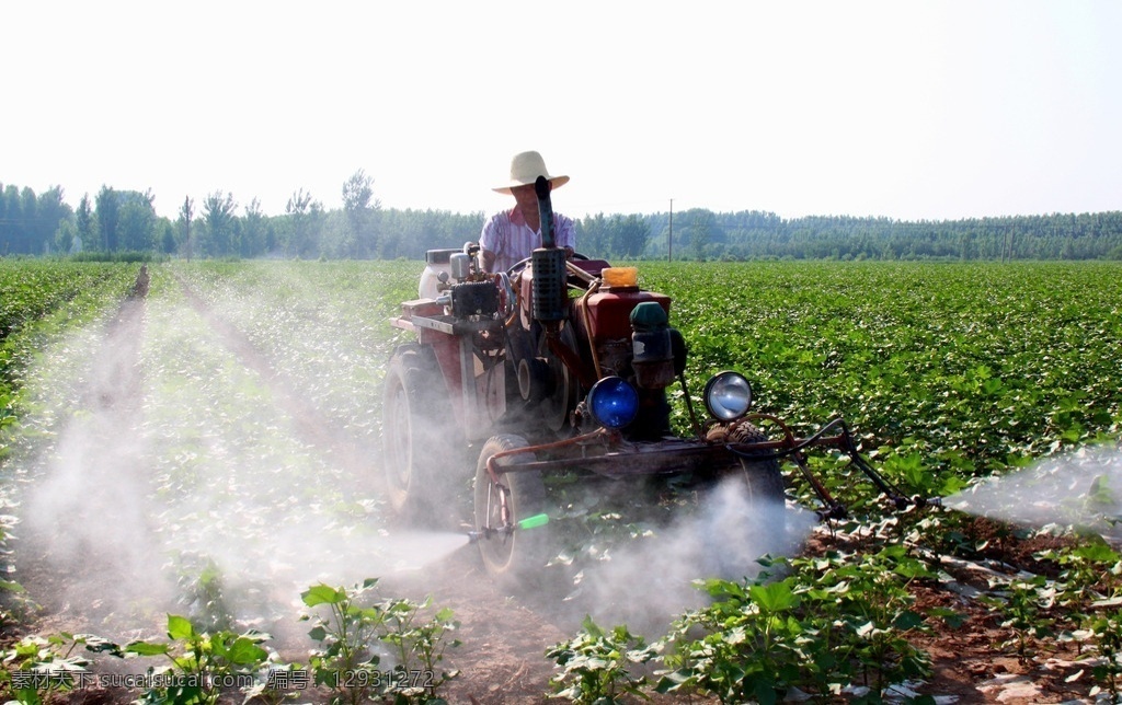 农业 喷雾 农药 机械化 农民 现代科技 农业生产