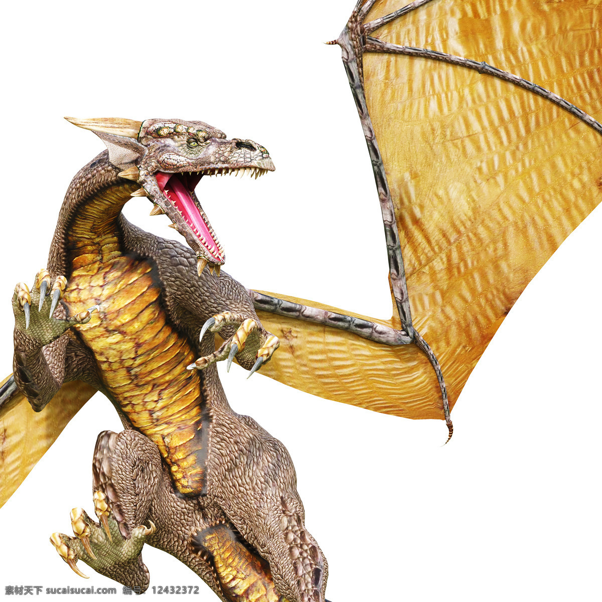龙图片素材 龙模型 远古生物 尖牙利爪 血盆大口 凶残 最大的掠食者 3d模型 3d作品 空中飞鸟 生物世界