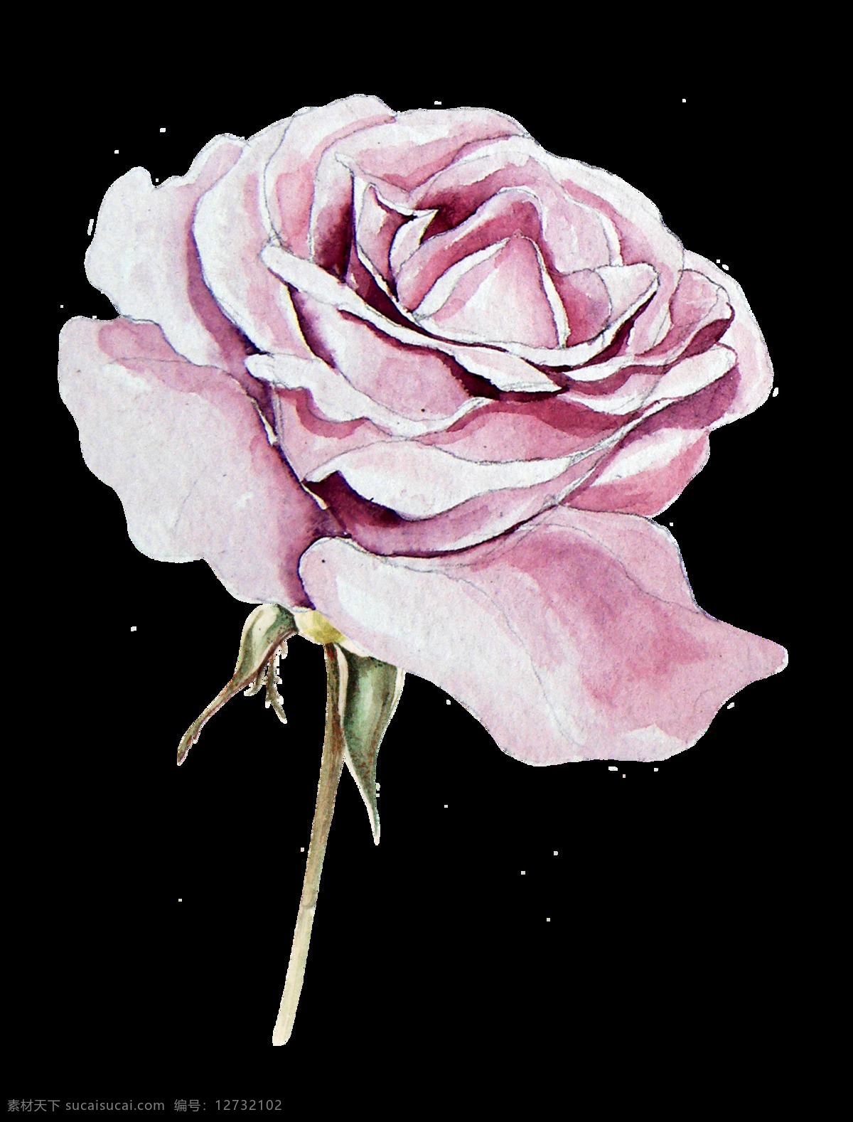 免 扣 白色 插画 粉色 花朵 花卉 卡通 绿色 绿叶 玫瑰 手账素材 淘宝 手绘 逼真 合集 紫色 叶子 植物 透明素材 装饰图案